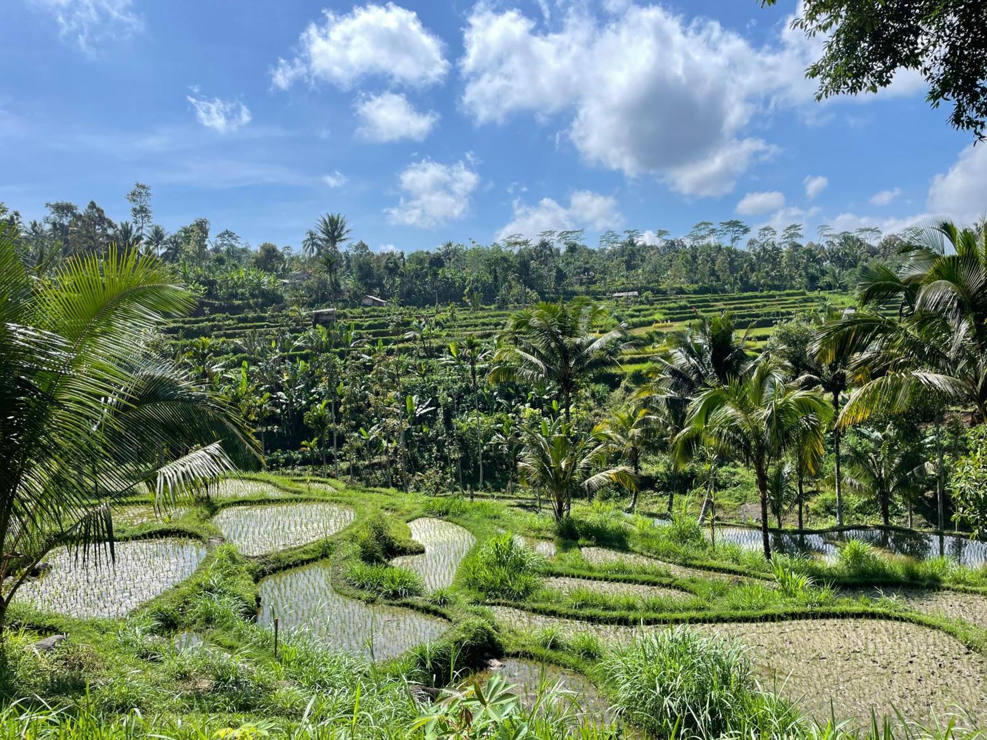 Serenity Lodge Tetebatu Lombok Exterior foto