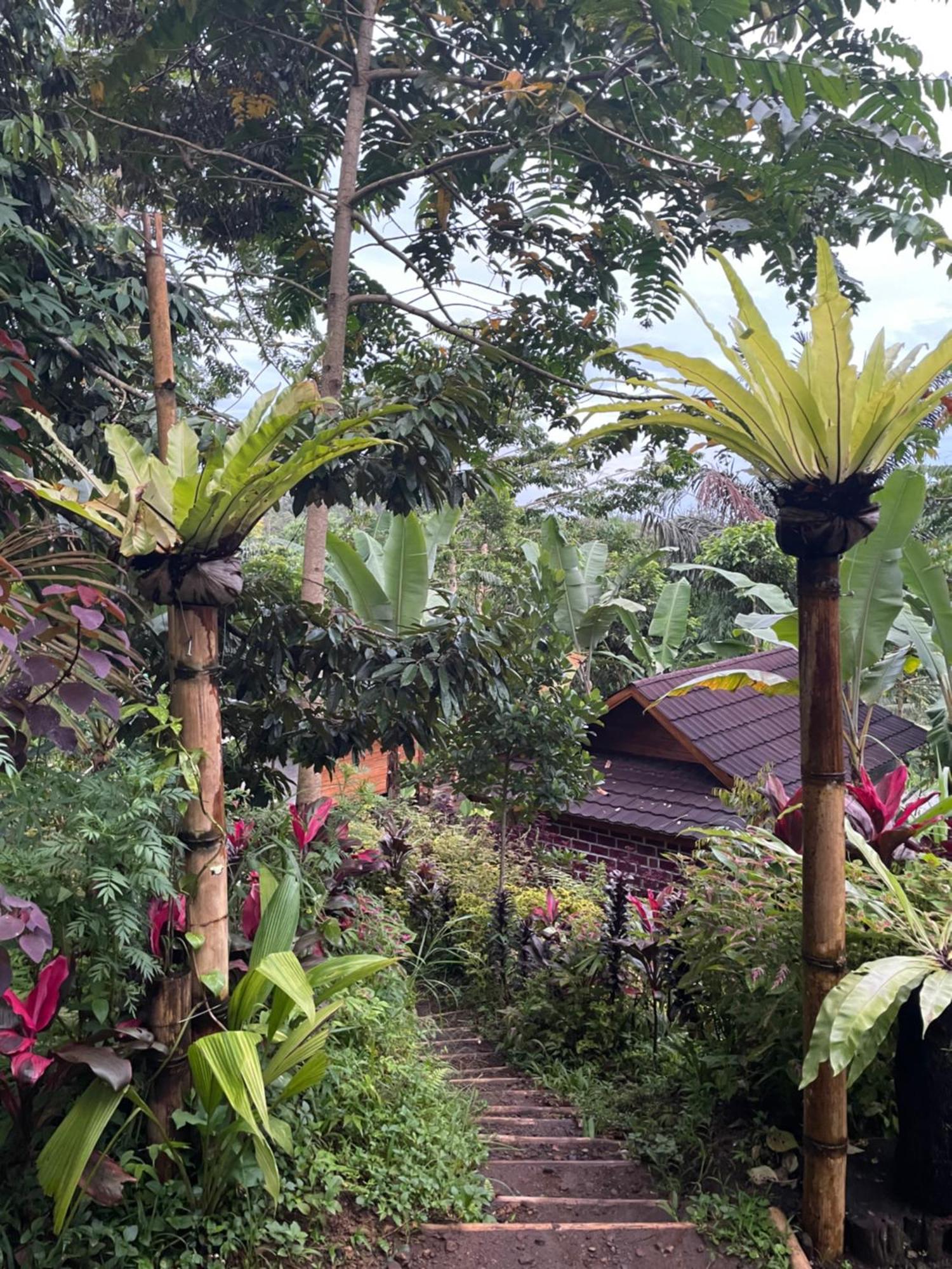 Serenity Lodge Tetebatu Lombok Exterior foto